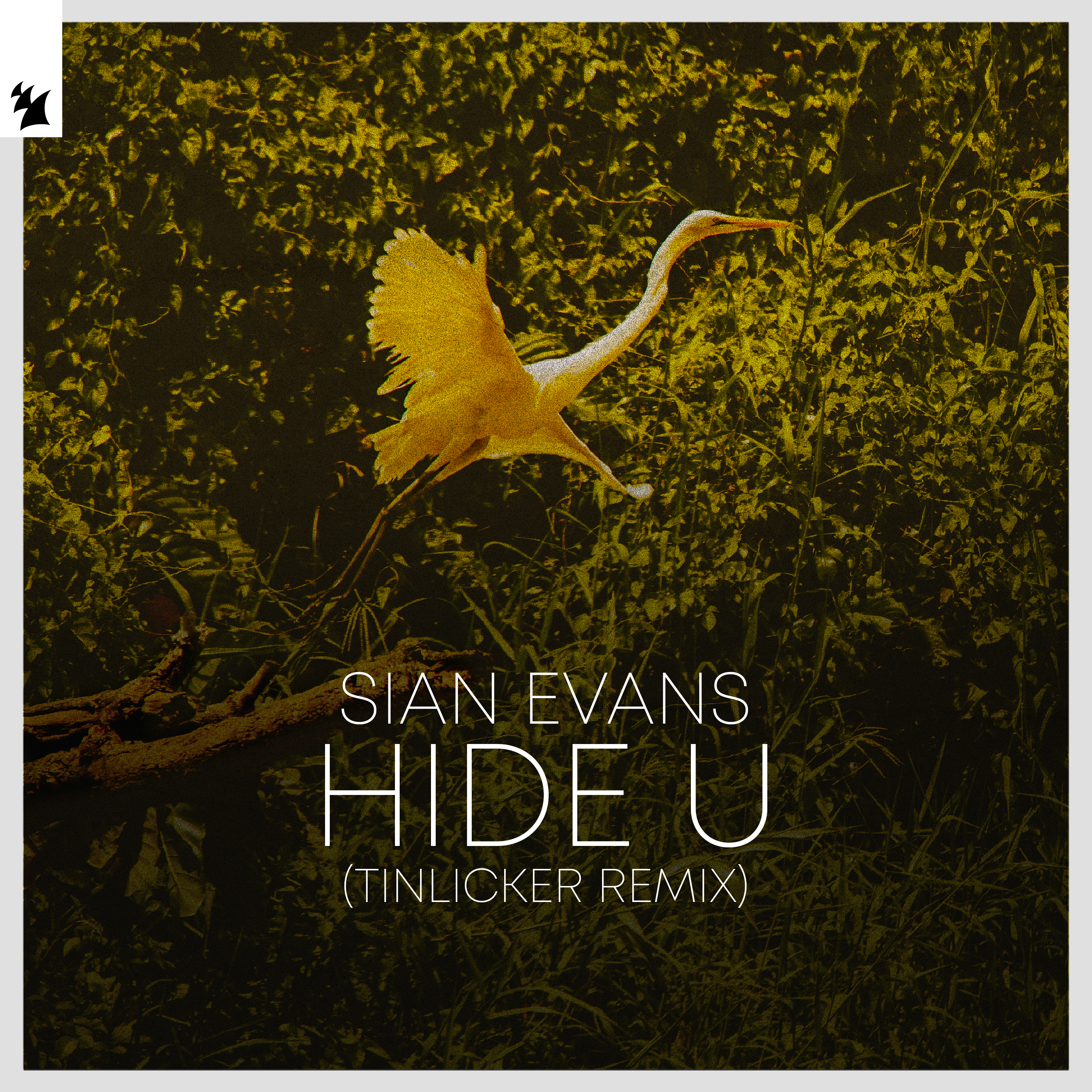 Sian Evans - Hide U | Armada Music